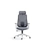 Raynor Group Torque Ergonomic Fabric/Mesh Swivel Manager Chair, Grey/White (TORQUE-WF-GRY )~#|#~3D5CE220-EF34-4883-9CED369485FC1F6E_sc7