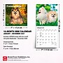 2027 BrownTrout Pomeranians 7" x 7" Monthly Wall Calendar (9798330710058)~#|#~3D63DFC7-F24C-4E9B-BD5A4AE72EDCD73D_sc7