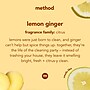 Method Squirt + Mop Hard Floor Cleaner, Lemon Ginger, 25 oz. (00563)~#|#~3D66CA30-5966-4E62-B4988D366948606E_sc7