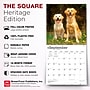 2027 BrownTrout Golden Retrievers 12" x 12" Monthly Wall Calendar (9798330712472)~#|#~3D6D0CE7-9377-46AF-857DB1949FD8DBD6_sc7
