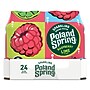 Poland Spring Raspberry Lime Flavored Sparkling Water, 16.9 oz., 24/Carton (12349573/122058)~#|#~3D7C472A-1569-48A8-B00CACF6FE941575_sc7