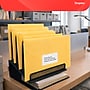 Staples Clasp & Moistenable Glue Kraft Catalog Envelopes, 10"L x 13"H, Brown, 250/Box (487494/17243)~#|#~3D7F1958-9F3C-4DAA-8FCB6128C6186FD0_sc7