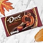 Dove Promises Harvest Pumpkins Dark Chocolate Pieces, 8.87 oz. (MMM58980)~#|#~3D9419AB-9944-4622-BCF6EDC715B8761D_sc7