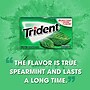 Trident Sugar Free Spearmint Gum, 14 Pieces/Pack, 12/Packs (VAM05017)~#|#~3D99E1D5-7090-487D-A23AC798F99DB96B_sc7