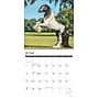 2026 Willow Creek Gypsy Vanner Horse 12" x 12" Monthly Wall Calendar (51429)~#|#~3DA0C353-3D88-4EA2-91AFF708F73FC3B3_sc7