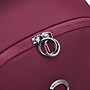 Delsey Paris Victoire Laptop Backpack, Burgundy (40210360104)~#|#~3DC0EB78-75F5-47C4-848F3C64DD1845F6_sc7