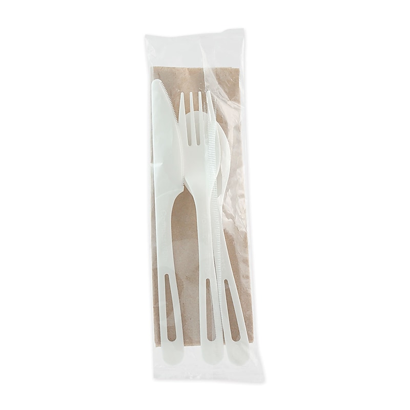 World Centric ASPSTN TPLA Plastic Fork/Knife/Napkin/Spoon Cutlery Sets, 250/Carton image 1