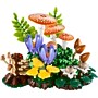 LEGO Botanicals Woodland Mushrooms, 806 Pieces (11505)~#|#~3DFC114E-A53F-4ACB-B97A8F5A40250C8C_sc7
