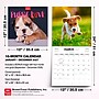 2027 BrownTrout Puppy Love 12" x 12" Monthly Wall Calendar (9347301107344)~#|#~3E01CE55-CE57-43BD-94C529BF466A7A5B_sc7