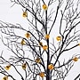 Nearly Natural Pre-Lit Artificial Halloween Black Twig Tree, 4' (T5361)~#|#~3E03BCEA-EE05-4E3B-AACFCD82218A502F_sc7