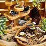 Yellow Door Sensory Play Stones, Birds, Multicolored, 8 Pieces/Set (YUS1219)~#|#~3E50CEA6-6628-456A-A8DD5C659963B25C_sc7