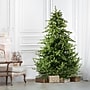Fraser Hill Farm 7.5' Foxtail Pine Artificial Christmas Tree (FFFX075-0GR)~#|#~3E681B49-7D3C-4F1C-92A7EA6B60C79D5C_sc7