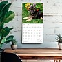 2026 BrownTrout German Shepherd Puppies 12" x 12" Monthly Wall Calendar (9798330703364)~#|#~3E848539-DC33-47F5-973F2A3CEAC60176_sc7