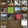 2026 Willow Creek Angler's 12" x 12" Monthly Wall Calendar (49860)~#|#~3E926A94-2736-43F9-AA8B4CD0C4A498DC_sc7