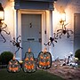 National Tree Company 35" Pre-Lit Black Jack-O-Lantern Garden Stakes (MZ17-6705A)~#|#~3E94569C-A071-4BAD-8744D326E9F14894_sc7