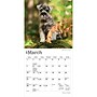 2027 BrownTrout Schnauzer Puppies 7" x 7" Monthly Wall Calendar (9798330710072)~#|#~3E9C90F0-2314-4FDD-B6FF3BAA69954BA9_sc7