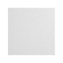 Armstrong CLEAN ROOM VL Square Lay-In Edge Ceiling Tile, 24" x 24", White, 12/Carton (BP868B)~#|#~3EDE3A40-785A-47C5-A5786D7D3654B1B7_sc7