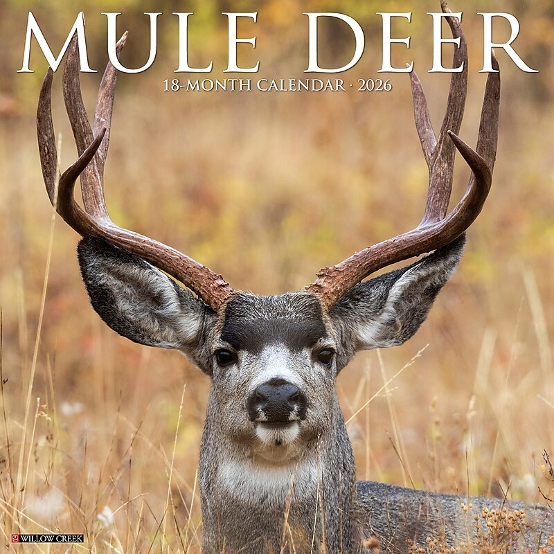 2026 Willow Creek Mule Deer 12" x 12" Monthly Wall Calendar (52051) image 1