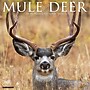 2026 Willow Creek Mule Deer 12" x 12" Monthly Wall Calendar (52051)~#|#~3EF440D7-41A8-478F-9C4ACE1762E8AD14_sc7