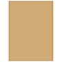 Tru-Ray 9" x 12" Construction Paper, Almond, 50 Sheets/Pack, 5 Packs/Bundle (PAC103067-5)~#|#~3EF9C08F-174E-4E37-9BD0337516573DF0_sc7