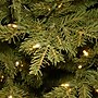 National Tree Company Nordic Spruce Artificial Christmas Tree (PENS1-321-65)~#|#~3F2557B9-C88B-4D84-B3C6BF5678383A77_sc7