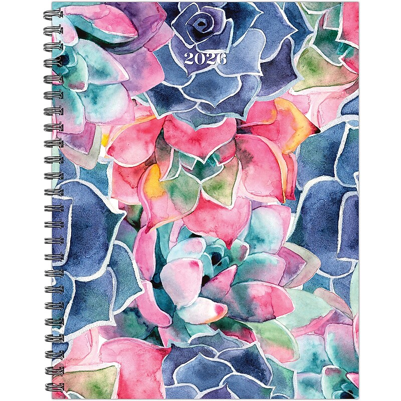 2026 Willow Creek So Very Succulent 8.5" x 11"  Weekly & Monthly Planner, Paperboard Cover (57377) image 1