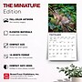2027 BrownTrout Hummingbirds 7" x 7" Monthly Wall Calendar (9798330709830)~#|#~3F42E3FB-20BA-4FAE-A7DECE9E5BD630E7_sc7