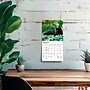 2027 BrownTrout Black Cats 7" x 7" Monthly Wall Calendar, Assorted Colors (9798330709700)~#|#~3F45E055-2C0F-4B96-818A4C4E9B7082BB_sc7