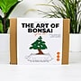 Gift Republic Bonsai Garden Grow Kit (GR452205)~#|#~3F545F50-CF7D-4846-B63EBCB67E52BFA8_sc7