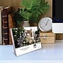 2026 Willow Creek What Cats Teach Us 6.2" x 5.4" Day-to-Day Calendar (54505)~#|#~3F758E65-B11E-437F-BD6885D416A9691E_sc7