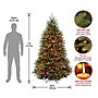 National Tree Company Dunhill Fir Artificial Christmas Trees (DUH-70RLO)~#|#~3F75BAC2-6DDB-4649-A16A3D5CBB185C94_sc7