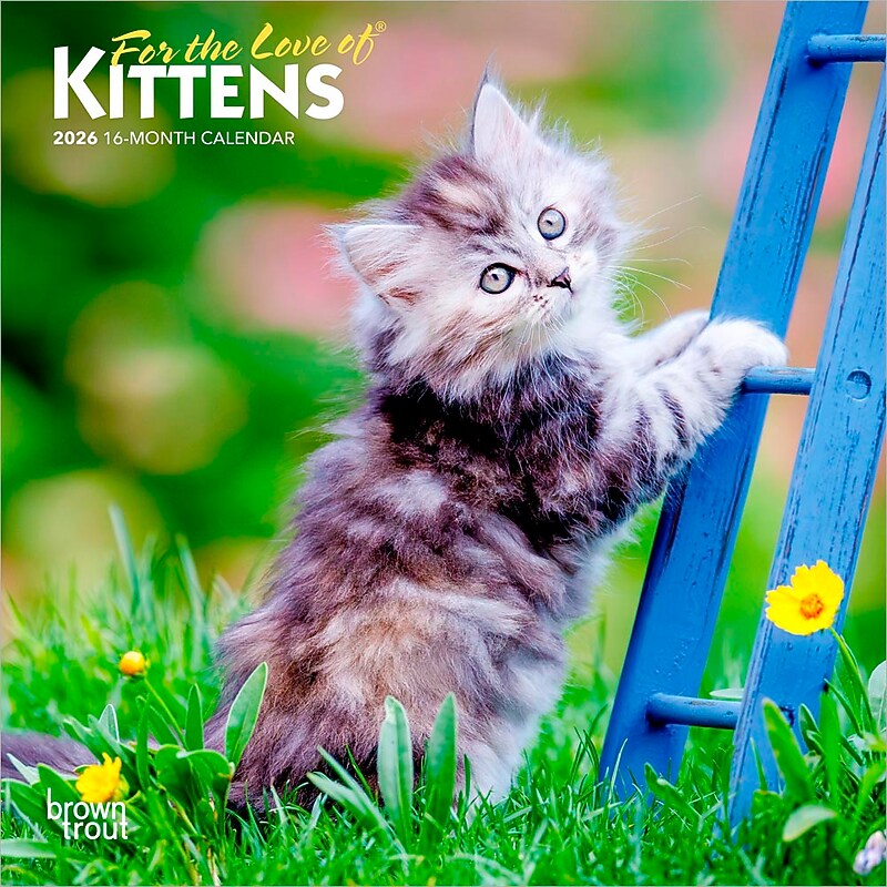 2026 BrownTrout For the Love of Kittens 7" x 7" Monthly Wall Calendar (9798330704132) image 1