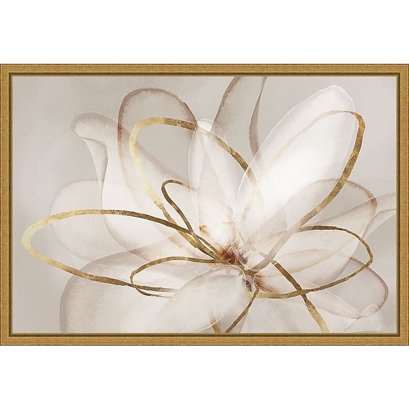 Amanti Art Transparent Beauty III (Floral) by Eva Watts Framed Canvas Wall Art Print, 23" x 16" (A42675040764) image 1
