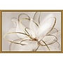 Amanti Art Transparent Beauty III (Floral) by Eva Watts Framed Canvas Wall Art Print, 23" x 16" (A42675040764)~#|#~3F83C36C-B4CB-476B-A2B1C153D247C0CF_sc7