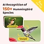 Birdfy Smart Hummingbird Feeder Ruby with Camera and AI by Subscription, Red (EPPAMBNI8902100)~#|#~3F955A4A-1EF4-4D3A-9F0F9F4E6F6E681D_sc7