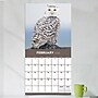 2026 TF Publishing Owls 12" x 12" Monthly Wall Calendar (26-1044)~#|#~3FA0ECE3-483F-44AA-B53D1E1A99C94C48_sc7