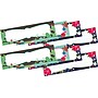 Barker Creek Petals & Prickles School Name Plates, 12" x 3.5", 72/Set (BC3899) ~#|#~3FAA68AE-FA17-4F5A-98C0A90702006B39_sc7