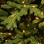 National Tree Company Princeton Fraser Fir Artificial Christmas Tree (PEPO2-D08-75)~#|#~3FB589FC-DC8C-4475-8E4BB93FA3D77A11_sc7