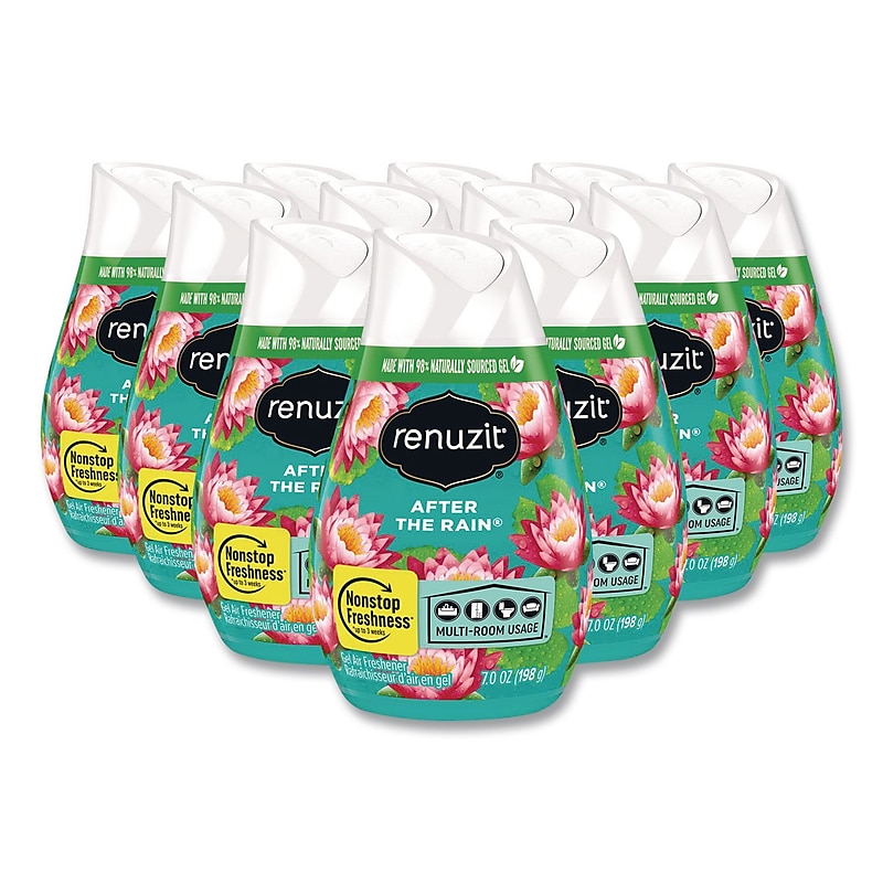 Renuzit Adjustables Air Freshener Solid, After the Rain Scent, 7 oz., 12/Carton (43100) image 1