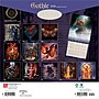 2026 BrownTrout Gothic Alchemy 12" x 12"  Monthly, Paper Cover, Gothic Alchemy (9798330701292)~#|#~3FD75ED1-31ED-465A-A750EEEF487524CA_sc7