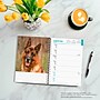 2026 BrownTrout German Shepherds 6.5" x 7.75" Weekly Planner (9798330703371)~#|#~3FE50A7F-939F-43D3-B6CEA01EB6068842_sc7