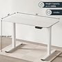 FlexiSpot ET2 55"W Electric Rectangular Adjustable Standing Desk, White ~#|#~3FFD2B6C-78FC-4E3E-AFC374D26B35D8A9_sc7