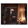 Philips Hue 60W Equivalent A19 LED Smart Bulb, Soft Warm White, 2/Pack (476951)~#|#~400092C5-3007-49D1-ABA85851C98058AA_sc7