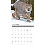 2027 Willow Creek Multi 12" x 12" Monthly Wall Calendar, Reversible, Assorted Colors (62067)~#|#~402FC9AC-5BAB-4962-9E7EDB5529C6CCCD_sc7