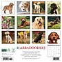 2026 Willow Creek Labradoodles 12" x 12" Monthly Wall Calendar (51726)~#|#~4040C4A3-3B1A-4589-873DD87478CC5CB9_sc7