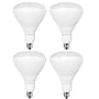 Viribright BR40 16 Watts Daylight LED Flood & Spot Bulb, 4/Pack (654656)~#|#~4044D4B7-1686-438A-82F50833A60B1DEC_sc7