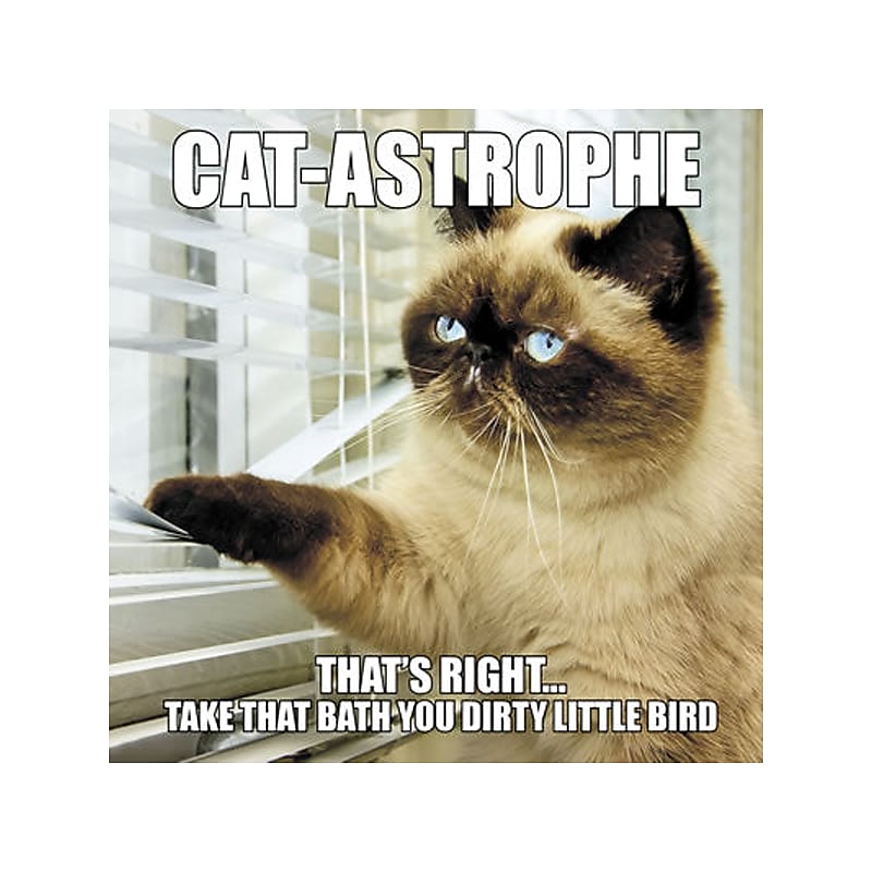 Cat-astrophe, Hardcover image 1
