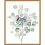 Amanti Art Eucalyptus III Cool by Danhui Nai Framed Canvas Wall Art Print, 23" x 28" (A42677089685)~#|#~4050696B-0E39-42F2-A0ACC49CDE91173B_sc7
