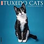 2026 Willow Creek Tuxedo Cats 12" x 12" Monthly Wall Calendar (53034)~#|#~4052432D-F06D-49BF-8563085546E0D439_sc7