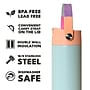 Elemental Core Stainless Steel Double Wall Insulated Water Bottle, 24 oz., Mint Sorbet (EMLEBC24MS11)~#|#~4060C4A6-511E-4A7F-A754F4AB4CDE7F01_sc7